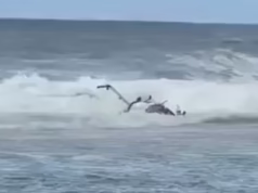 Piloto que escapou milagrosamente da morte certa em acidente de helicóptero que matou três passageiros relembra momentos angustiantes segundos antes do desastre