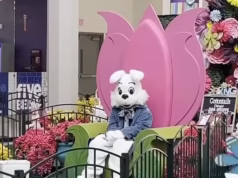 Medo de homem acusado de apalpar o coelhinho da Páscoa do shopping antes de perguntar se ‘é menino ou menina’