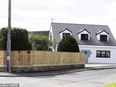 Proprietário ‘espantado’ ataca vizinho ‘ciumento’ enquanto casal briga por cima de uma cerca construída ilegalmente de quase dois metros