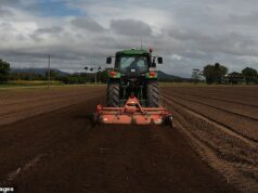 O abastecimento de alimentos da Austrália teme depois que a China congela as remessas de fertilizantes vitais – enquanto Pequim envia um enviado especial