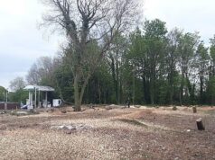 Um proprietário de terras foi multado em um valor recorde de £ 268.000 por derrubar árvores ilegalmente para expandir um posto de gasolina