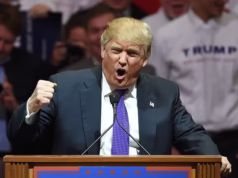 Furioso, Trump diz que os americanos deveriam boicotar os ‘cortes secos’ Bruce Springsteen: ‘Seus shows superfaturados são uma merda!’