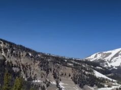 Tal pai, tal filho! Enquanto Meghan Markle encanta os fãs com um clipe ‘adorável’ de Archie esquiando, essas fotos do jovem Príncipe Harry mostram que a maçã não cai longe da árvore…