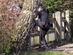 Temores de segurança depois que um homem e uma menina escalaram a cerca do lado de fora da fazenda na casa de Andrew Mountbatten-Windsor em Sandringham