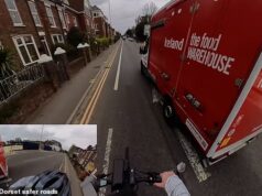 O novo ‘Cycling Mikey’ do momento confronta com raiva um entregador islandês por dirigir muito perto dele enquanto andava fora da ciclovia, então quem está certo?