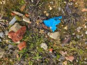 Ex-clube de pólo do Príncipe Harry em disputa contra poluição após comprar solo contaminado cheio de plástico e tijolos