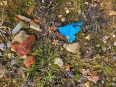 Ex-clube de pólo do Príncipe Harry em disputa contra poluição após comprar solo contaminado cheio de plástico e tijolos