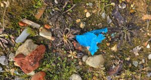 Ex-clube de pólo do Príncipe Harry em disputa contra poluição após comprar solo contaminado cheio de plástico e tijolos