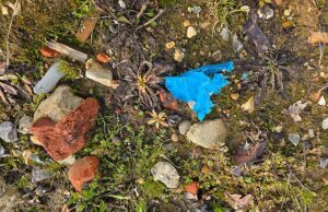 Ex-clube de pólo do Príncipe Harry em disputa contra poluição após comprar solo contaminado cheio de plástico e tijolos