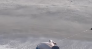 Momento de cair o queixo Jelle, 20, luta contra um grande tubarão branco na praia da Califórnia