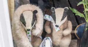 O mascote texugo roubado favorito do pub está de volta, com um lenço novo e um pedido de desculpas do ladrão que o pegou em uma ‘pegadinha de bêbado’