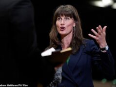 O vice-líder do Partido Verde admite que não sabe nada sobre os planos de seu partido de limitar os limites de velocidade nas rodovias a 55 mph