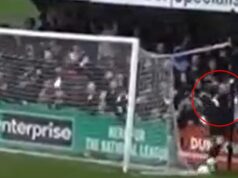Momento chocante: o goleiro ‘dá um soco em um torcedor rival’ antes de ser escoltado para fora do campo pela segurança em tempo integral atrás do gol durante a partida
