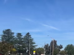 Problemas com veículos elétricos na Austrália revelados no fim de semana prolongado da Páscoa: ‘catástrofe’