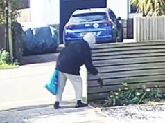 Um ladrão encapuzado do momento rouba um jacinto recém-plantado do canteiro de flores de um casal antes de colocá-lo em sua bolsa para o resto da vida.