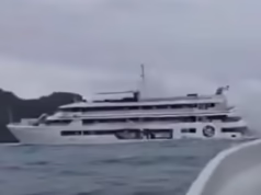 O terrível momento em que um navio de cruzeiro encalha em uma ilha tropical que ficou famosa em um sucesso de bilheteria de Hollywood provoca um resgate de emergência.