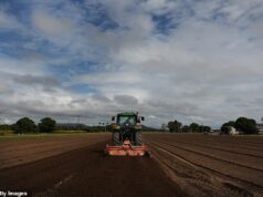 Austrália ganha muito depois que a China congela exportações essenciais para o país: ‘Precisamos de amigos’