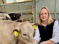 Farmer expôs o ‘ridículo’ sistema de licenciamento governamental que permite que criminosos despejem resíduos no país – depois que seu prêmio COW Beau foi registrado como triturador de resíduos do governo