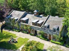 Uma vila irlandesa inteira está à venda por £ 20 milhões – e inclui um pub e um restaurante Watermill