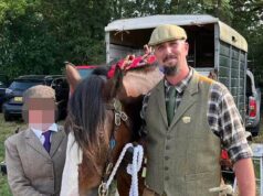 Professores que jogam críquete com faisões mortos e matam crianças na frente dos alunos foram banidos das salas de aula