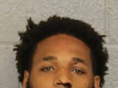 Cavalos horríveis são atropelados por carros, enquanto irmãos gêmeos malvados montam animais no centro da cidade e fazem ‘truques’ cruéis com eles.