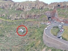 A viúva de um aposentado britânico morto em um acidente de ônibus nas Ilhas Canárias, de 77 anos, estava entre os 27 passageiros enviados ao hospital depois que o ônibus caiu em uma vala devido a suspeita de falha nos freios.