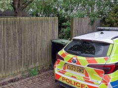 Mulher de 19 anos morre em ataque de cachorro, assim como homem de 37 anos, preso por cuidar de animal descontrolado