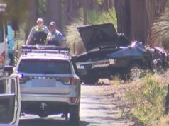 Três mortos em acidente de terror depois que um carro de alta potência saiu da estrada e bateu em uma árvore: ‘Ele estava quebrado’