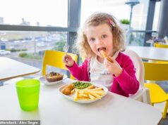 Repressão ao jantar escolar: tradicional peixe com batatas fritas, nuggets de frango e donuts com geleia serão proibidos durante a maior reforma do cardápio desde 2012