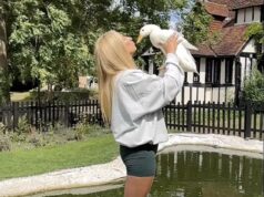 Por que um pato de estimação se tornou um acessório animal essencial para os ricos e famosos