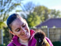 ‘Drama da lhama’ enquanto os aldeões lutam contra uma mulher que quer manter um rebanho de alpacas em sua casa após a provação do coma