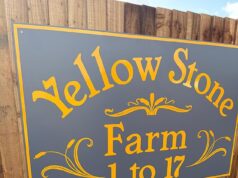 já se sentiram em casa! Viajantes revelam placa para nova fazenda após ‘apropriação de terras’ em Surrey, à medida que mais caravanas se aproximam de locais ‘ilegais’