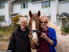Dois invasores mudam-se para uma ‘propriedade fantasma’ com seu pônei e Rottweiler para ‘fornecer segurança’… e os moradores querem que eles desapareçam