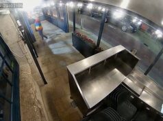 Ativista dos direitos dos animais do momento ‘liberta’ lagosta viva do restaurante e a solta no porto depois de acreditar que era falsa