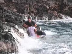 Foto comovente mostra o momento em que um jovem pai do Havaí quase foi resgatado depois de pular de um penhasco e lutar no mar… antes que ondas violentas o levassem para a morte