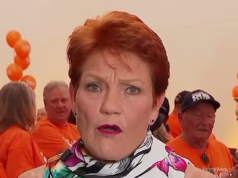 Os australianos estão divididos sobre o apelo ousado de Pauline Hanson para revisar as leis de propriedade residencial: ‘bom senso’
