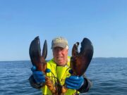 Uma batalha de lagosta ao estilo David e Golias acontece ao longo da costa do Maine enquanto barcos de pesca de uma pequena cooperativa local lutam contra rivais muito maiores.