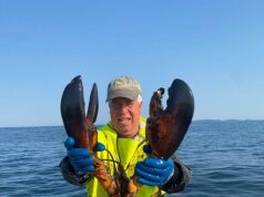 Uma batalha de lagosta ao estilo David e Golias acontece ao longo da costa do Maine enquanto barcos de pesca de uma pequena cooperativa local lutam contra rivais muito maiores.