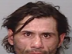 Uma caçada humana foi lançada ao prisioneiro em NSW depois que ele foi libertado acidentalmente