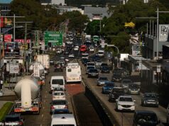 NSW considera o estoque de combustível como ‘diminuindo a confiança no governo albanês’