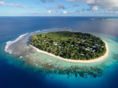 Esposa arrasada de recém-casado vítima de ataque de tubarão acusa empresa de turismo das Maldivas de “negligência grave” depois que ela foi deixada lutando pela vida com uma perna amputada após ataque perto de uma fábrica de processamento de pescado