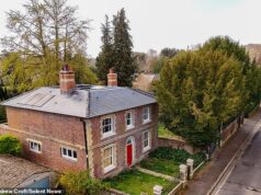 Um remador milionário está comemorando depois de bloquear a oferta de um vizinho para cortar um teixo protegido no jardim de sua casa de £ 1,4 milhão.