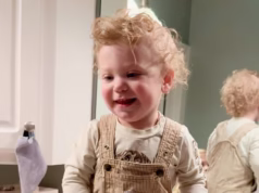 Adorável criança de um ano atropelada e morta por um navio de carga em um ‘maldito acidente’ enquanto caminhava na mesma pista do veículo gigante