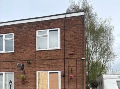 Viúva de 78 anos atacada por dois cães parecidos com Rottweiler de parentes em Wolverhampton