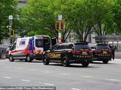 O homem abordado pelo Serviço Secreto após tentar pular a cerca da Casa Branca dentro de Trump