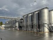 A outrora próspera indústria vinícola da Austrália está agora de joelhos. E a culpa é dos bebedores ‘bonzinhos’ da Geração Z, diz um produtor líder