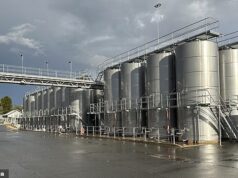 A outrora próspera indústria vinícola da Austrália está agora de joelhos. E a culpa é dos bebedores ‘bonzinhos’ da Geração Z, diz um produtor líder