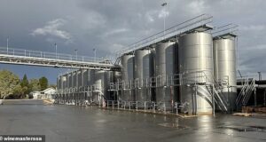 A outrora próspera indústria vinícola da Austrália está agora de joelhos. E a culpa é dos bebedores ‘bonzinhos’ da Geração Z, diz um produtor líder