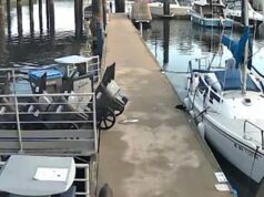 Família paga muito depois que uma menina de 2 anos sobrevive ao terrível ataque de LONTRA