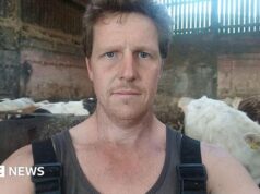 Agricultor promete tornar suas vacas das terras altas ‘menos fotogênicas’ para impedir que influenciadores se abracem e tirem selfies
